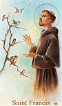 Saint Francis prayer card